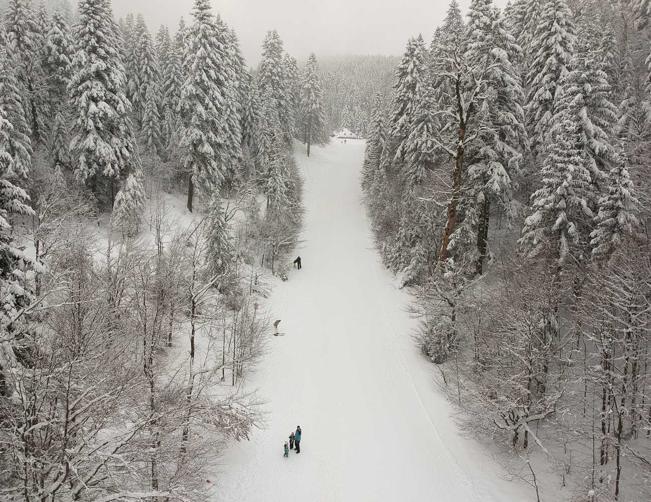 DJI 0228