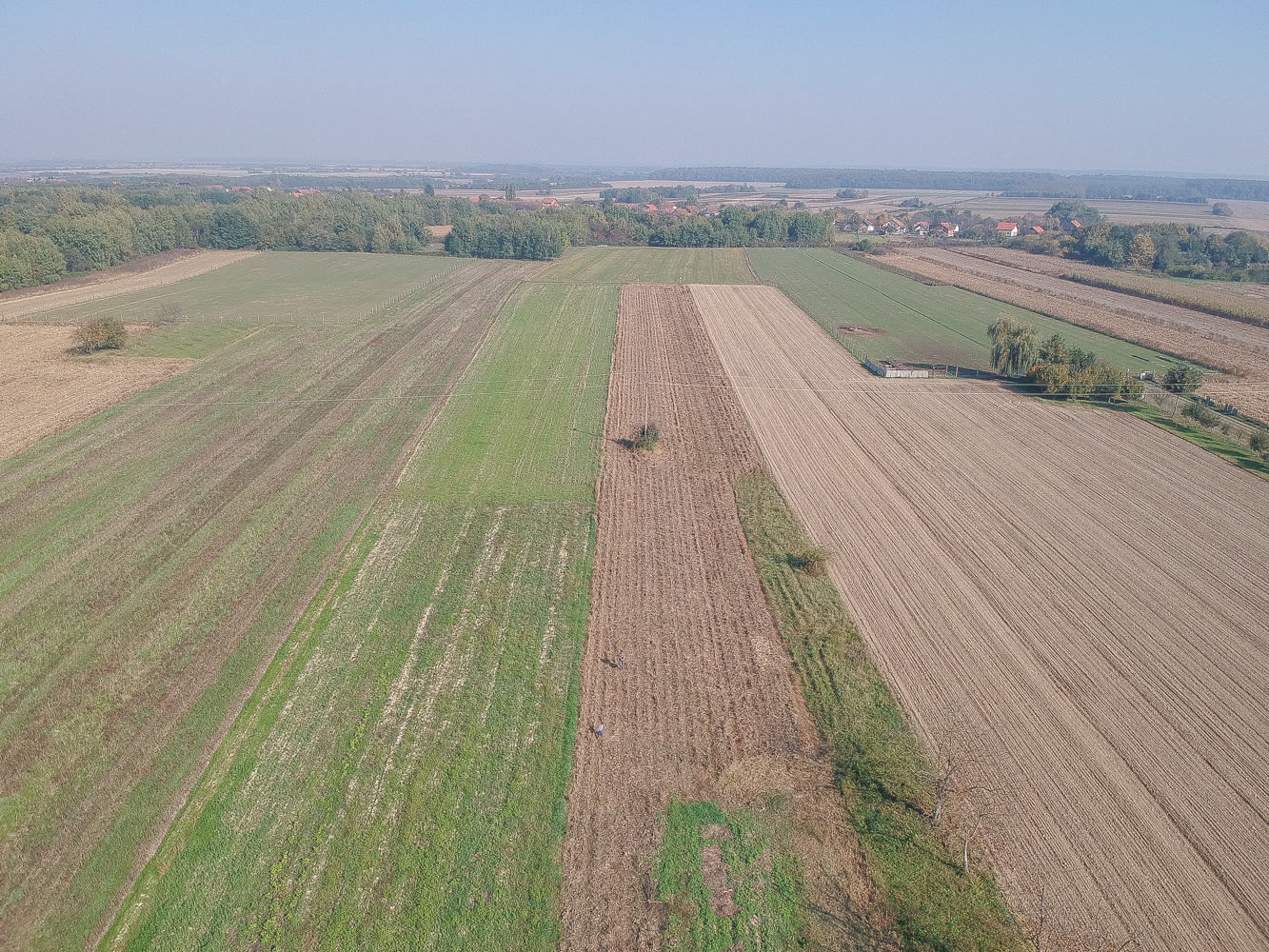 DJI 0855